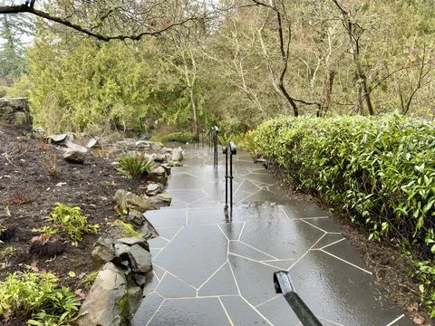 Wet path of slabs surrounded by greenery in spring in the park Stockfoto's