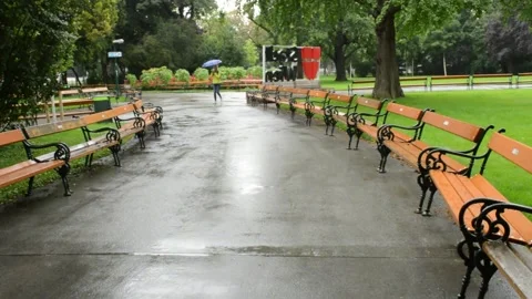 Wet paths of the park. Cloudy rainy day 動画素材 137114053