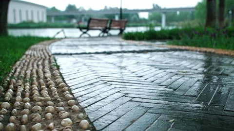 Wet paths in the park Stock Footage 257862556
