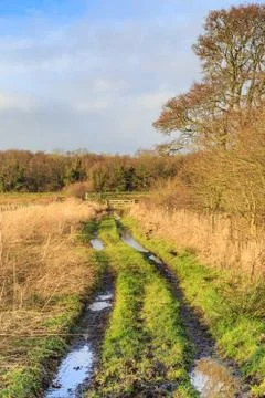 A Wet Pathway Foto stock
