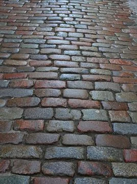 Wet pavement paved with multi-colored stone, selective focus Stock Photos