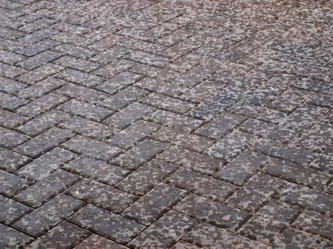 Wet pavement Stock Photos