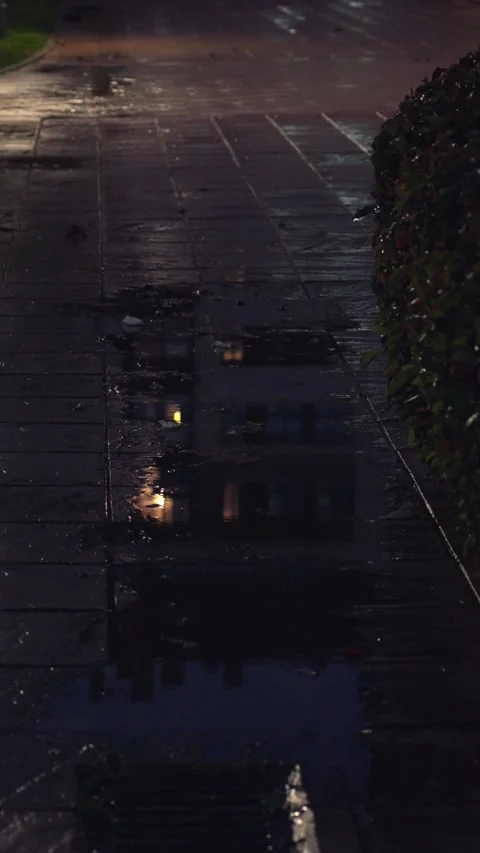 Wet Pavement Reflection at Night in City Street 스톡 동영상 328516416