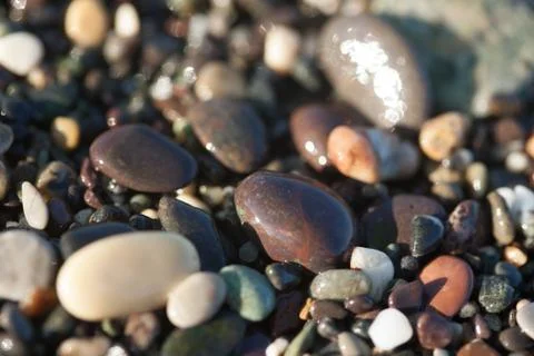 Wet pebble texture close up Stock Photos