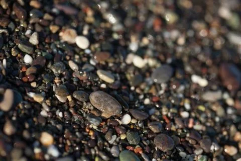Wet pebble texture close up Stock Photos