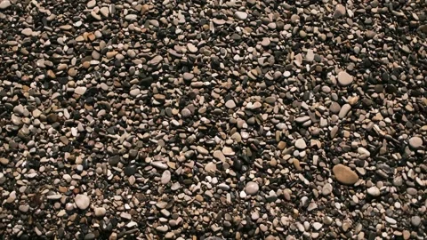 Wet pebbles covering a beach surface in natural light. Minimal coastal texture Stock Footage 325738760