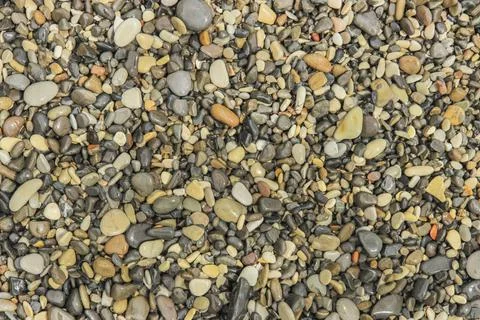 Wet pebbles Stock Photos