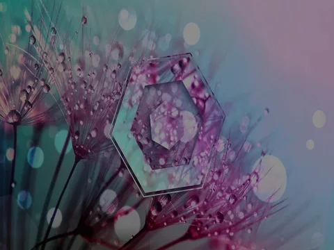 Wet plant abstract shape Stock Footage 80665499