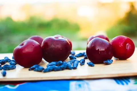 Wet plum are on the Board Stock Photos