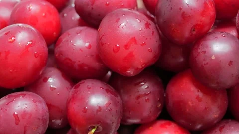 Wet plums close up, side view. Stock Footage 136623759