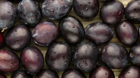 Wet plums, top view. Plums with petioles. Stock Footage 138343291