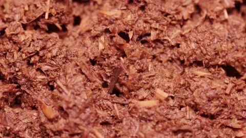 Wet pomace of fermented Ivan tea 스톡 동영상 201338155