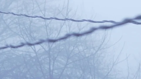 Wet power lines 2 Stock Footage 72408502