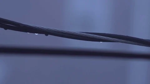 Wet power lines Stock Footage 72408518
