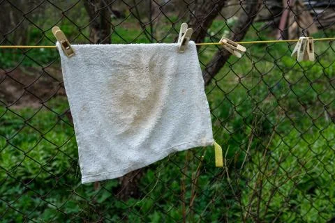 A wet rag dries. Stock Photos
