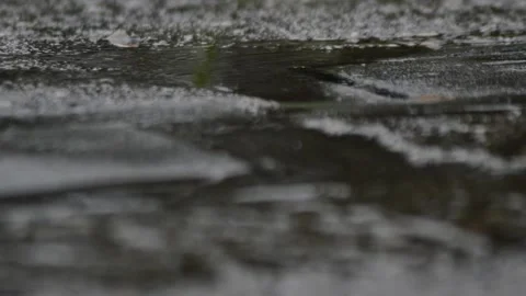 Wet rain drops fall on a green nature blur background. hd rain motion 스톡 동영상 195975672