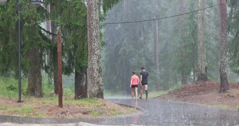 Wet in the rain Stock Footage 95223832
