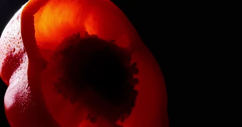 Wet red bell pepper rotates on black background. Macro. Stock Footage 155442010
