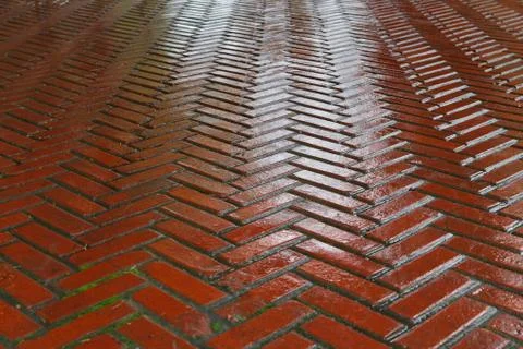 Wet red brick road Stock Photos