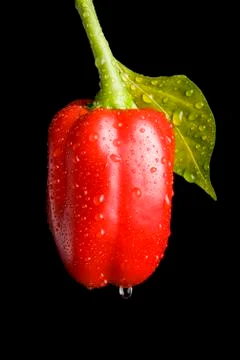 Wet red pepper on black background Stock Photos