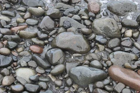 Wet River Rocks Stock Photos