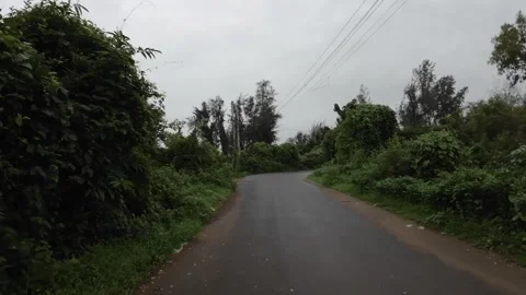 Wet Road In Forest in Monsoon Stock Footage 280561730