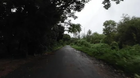 Wet Road In Forest in Monsoon Stock Footage 280562093
