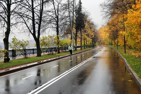 Wet road Stock Photos
