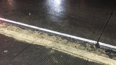 Wet road with white solid line angled Stock Footage 249342974