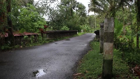 Wet roads, a biker takes in the post-rain beauty of Sidemen Stock Footage 231017147
