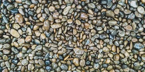 The wet rocks and stone texture pattern background. Stock Photos
