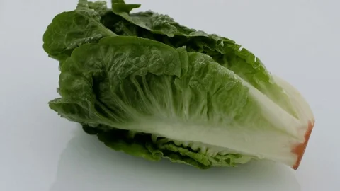 Wet Salad on Turntable - White Background Stock Footage 75861867