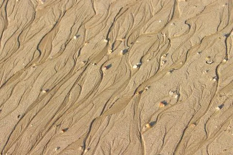 Wet sand background. Stock Photos