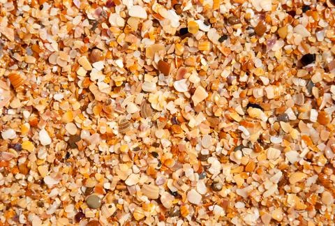 Wet sand background with seashells on the beach Stock Photos