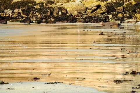 Wet sand beach Stock Photos