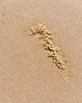 Wet sand on the beach. Stock Photos