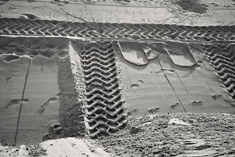Wet sand displays sharp, parallel tire tread patterns under warm sunlight Stock Photos
