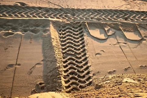 Wet sand displays sharp, parallel tire tread patterns under warm sunlight Stock Photos