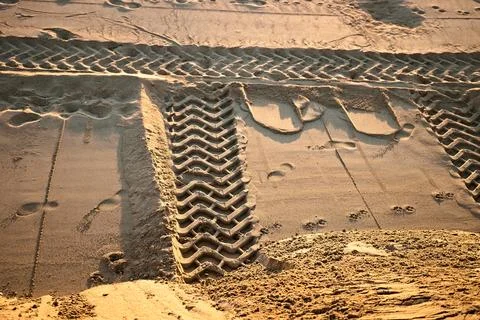 Wet sand displays sharp, parallel tire tread patterns under warm sunlight Stock Photos