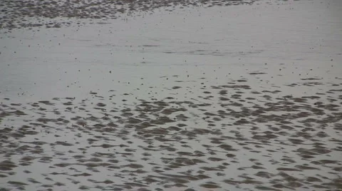 Wet sand Stock Footage 1049664