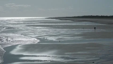 Wet sand glistens under soft, diffused light Stock Footage 346258689