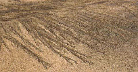 Wet Sand Pattern on Beach Stock Photos