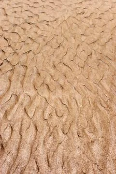 Wet sand 库存照片