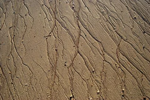 Wet sand Stock Photos