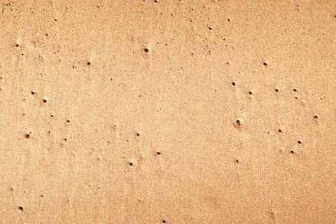 Wet sand Foto stock
