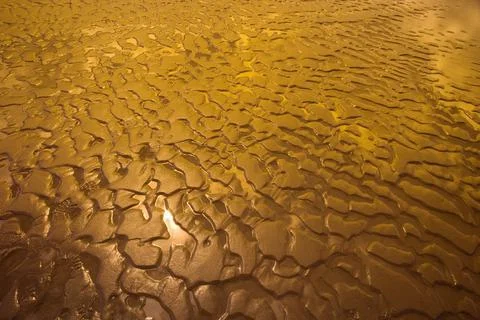 Wet Sand Stock Photos