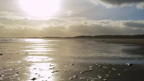 Wet Sand reflects the yellow setting sun, as a dog runs in the distance 動画素材 73543603
