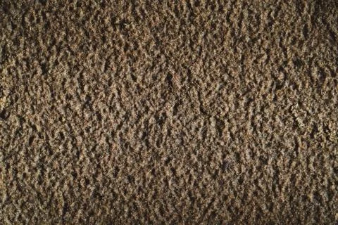 Wet Sand by the River Texture Stock-Fotos