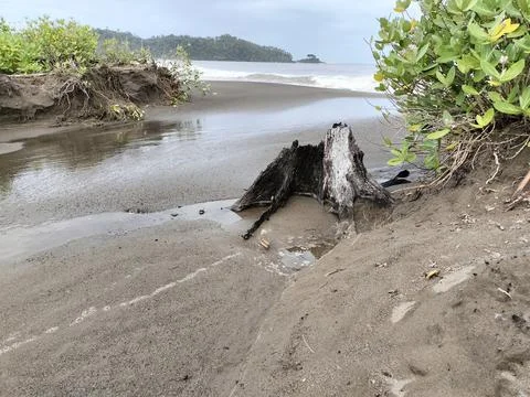 Wet sand scenery Stock Photos