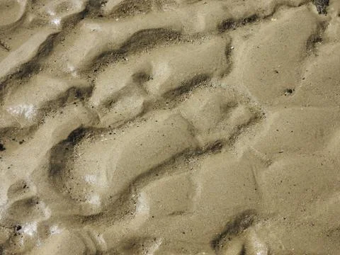Wet Sand texture Stock Photos